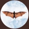 Community icon
