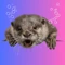 Community icon