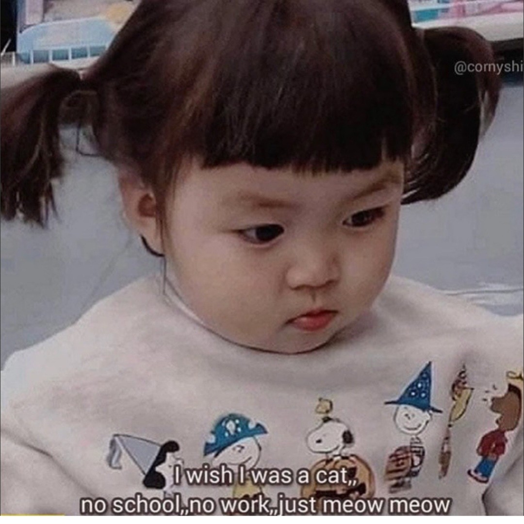 Career progression