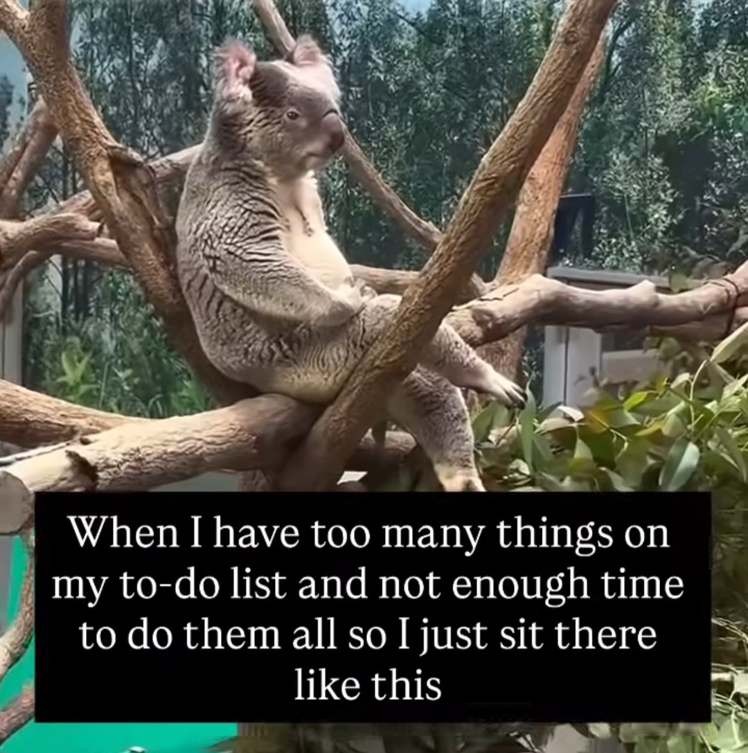 You got this