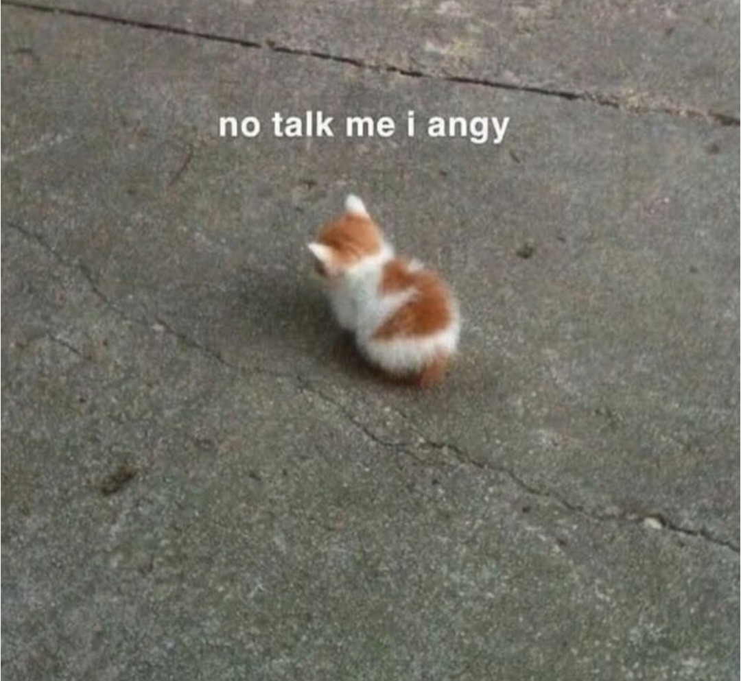 Dawww