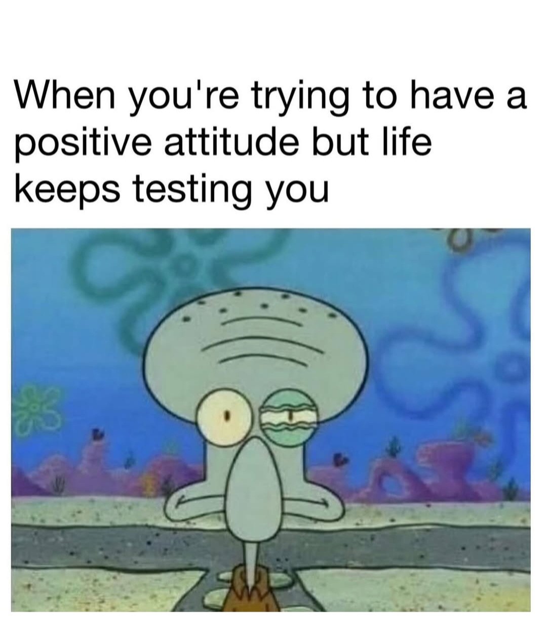 Daily