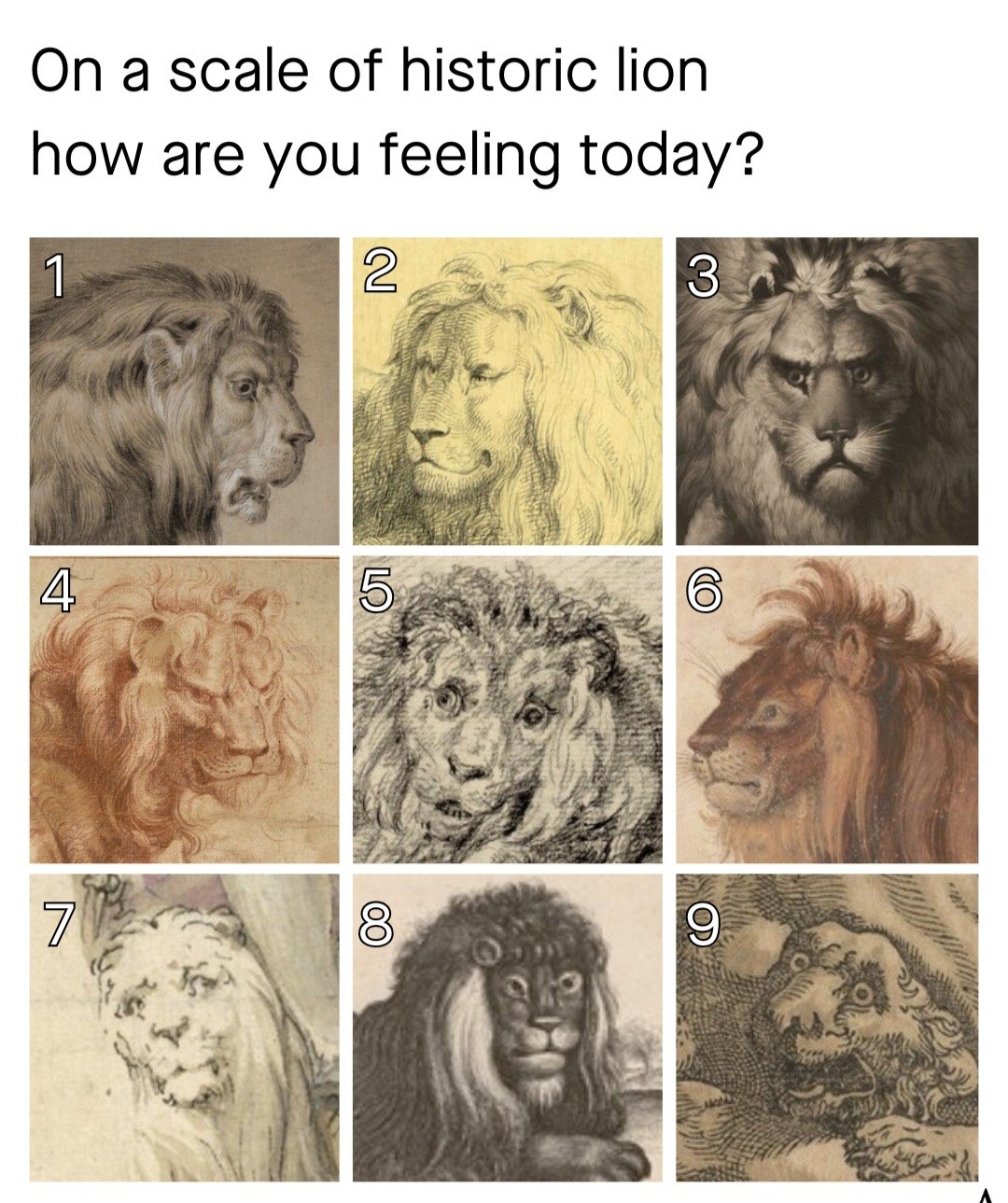 How are you?