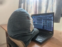 kittenzrulz123